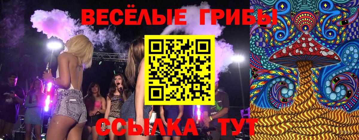 Галлюциногенные грибы MAGIC MUSHROOMS Ртищево