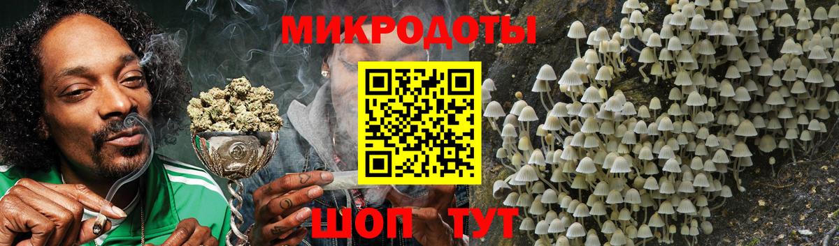 Псилоцибиновые грибы Psilocybine cubensis  Вход с VPN  Ртищево 